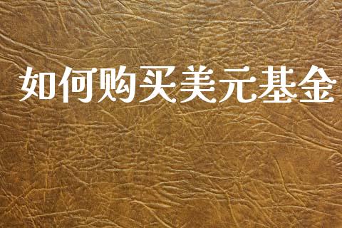 如何购买美元基金_https://www.ltsssb.com_期货在线_第1张