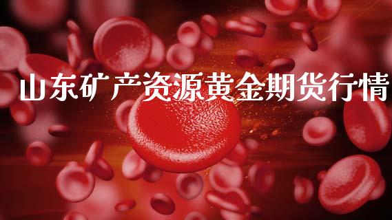 山东矿产资源黄金期货行情_https://www.ltsssb.com_期货在线_第1张