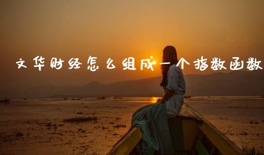文华财经怎么组成一个指数函数_https://www.ltsssb.com_期货密码_第1张