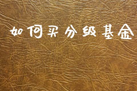 如何买分级基金_https://www.ltsssb.com_国际财经_第1张