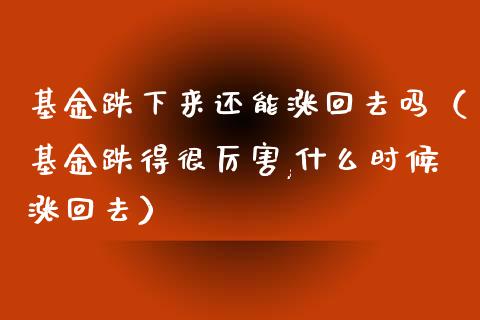 基金跌下来还能涨回去吗（基金跌得很厉害,什么时候涨回去）_https://www.ltsssb.com_基金频道_第1张
