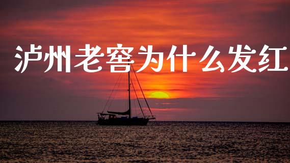 泸州老窖为什么发红_https://www.ltsssb.com_期货密码_第1张