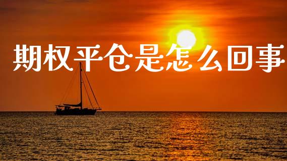 期权平仓是怎么回事_https://www.ltsssb.com_股票理论_第1张