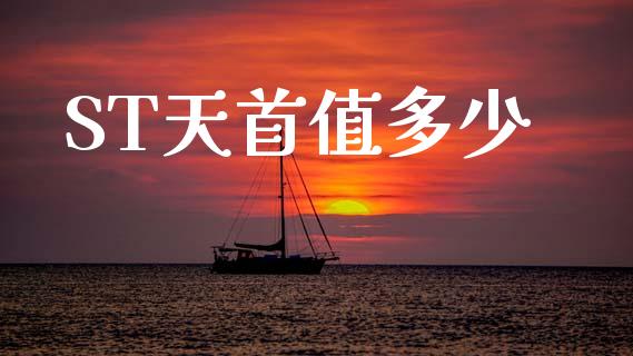 ST天首值多少_https://www.ltsssb.com_期货在线_第1张