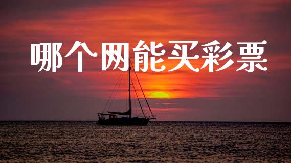 哪个网能买彩票_https://www.ltsssb.com_新股数据_第1张