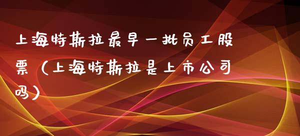 上海特斯拉最早一批员工股票（上海特斯拉是上市公司吗）_https://www.ltsssb.com_股票理论_第1张