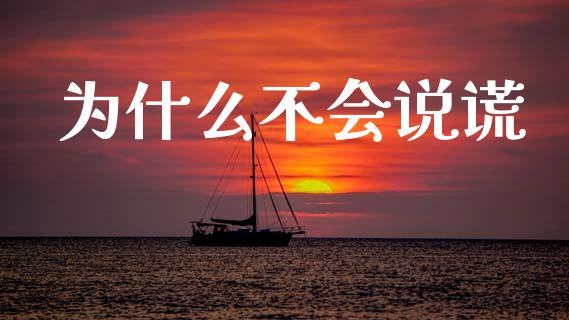 为什么不会说谎_https://www.ltsssb.com_新股数据_第1张