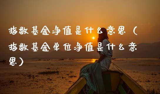 指数基金净值是什么意思（指数基金单位净值是什么意思）_https://www.ltsssb.com_基金频道_第1张