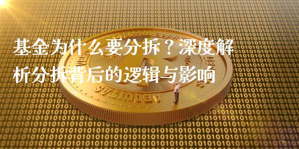 基金为什么要分拆？深度解析分拆背后的逻辑与影响_https://www.ltsssb.com_股票理论_第1张