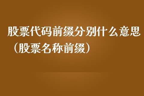 股票代码前缀分别什么意思（股票名称前缀）_https://www.ltsssb.com_新股数据_第1张