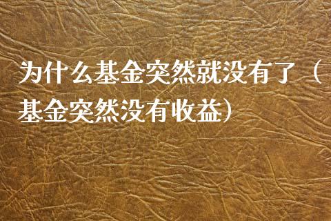 为什么基金突然就没有了（基金突然没有收益）_https://www.ltsssb.com_基金频道_第1张