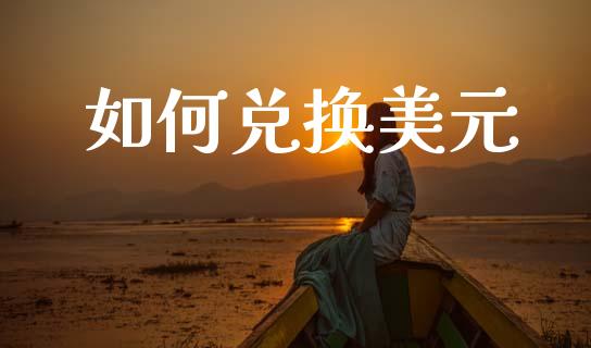 如何兑换美元_https://www.ltsssb.com_期货密码_第1张