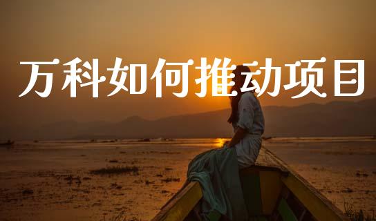 万科如何推动项目_https://www.ltsssb.com_新股数据_第1张