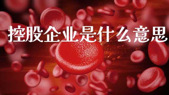 控股企业是什么意思_https://www.ltsssb.com_期货行情_第1张