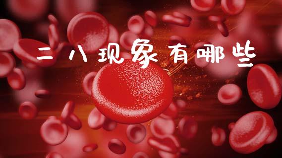 二八现象有哪些_https://www.ltsssb.com_基金频道_第1张