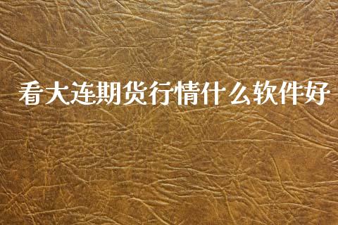 看大连期货行情什么软件好_https://www.ltsssb.com_期货密码_第1张