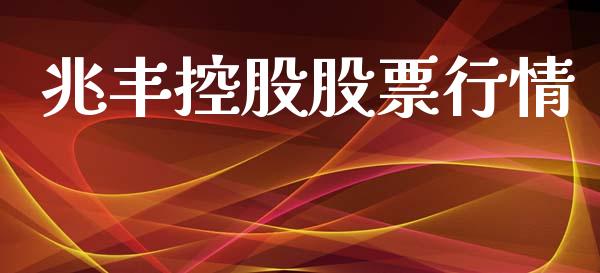 兆丰控股股票行情_https://www.ltsssb.com_股市分析_第1张
