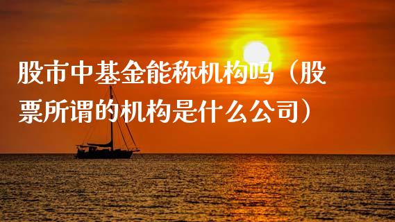 股市中基金能称机构吗（股票所谓的机构是什么公司）_https://www.ltsssb.com_基金频道_第1张