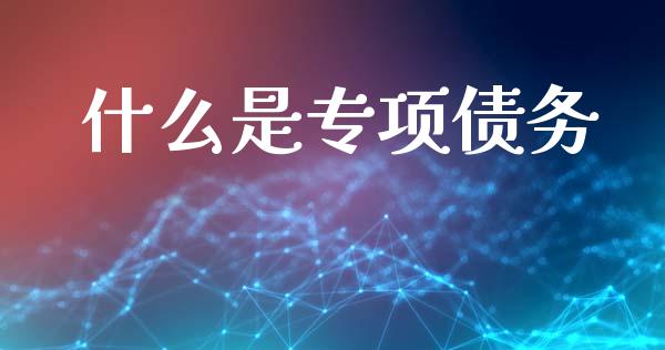 什么是专项债务_https://www.ltsssb.com_国际财经_第1张