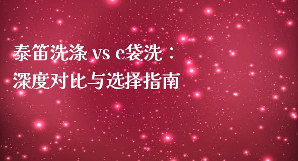 泰笛洗涤 vs e袋洗：深度对比与选择指南_https://www.ltsssb.com_股票理论_第1张