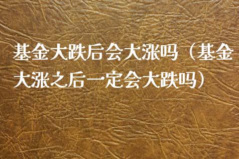 基金大跌后会大涨吗（基金大涨之后一定会大跌吗）_https://www.ltsssb.com_基金频道_第1张