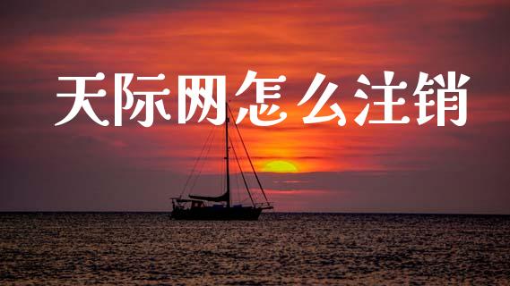 天际网怎么注销_https://www.ltsssb.com_新股数据_第1张