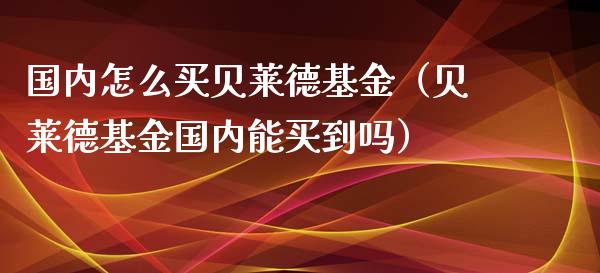 国内怎么买贝莱德基金（贝莱德基金国内能买到吗）_https://www.ltsssb.com_基金频道_第1张