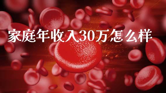家庭年收入30万怎么样_https://www.ltsssb.com_期货密码_第1张