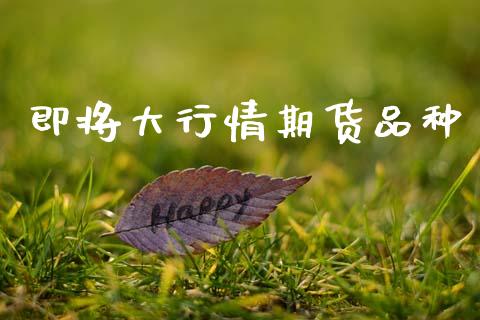 即将大行情期货品种_https://www.ltsssb.com_期货密码_第1张