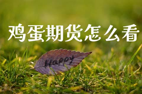 鸡蛋期货怎么看_https://www.ltsssb.com_期货在线_第1张