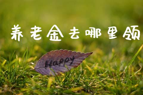 养老金去哪里领_https://www.ltsssb.com_新股数据_第1张