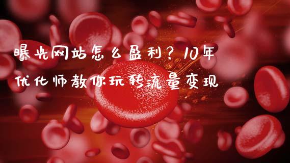曝光网站怎么盈利？10年优化师教你玩转流量变现_https://www.ltsssb.com_期货行情_第1张