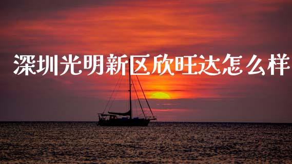 深圳光明新区欣旺达怎么样_https://www.ltsssb.com_期货在线_第1张