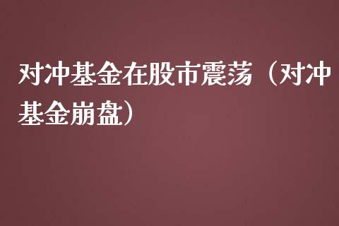 对冲基金在股市震荡（对冲基金崩盘）_https://www.ltsssb.com_基金频道_第1张