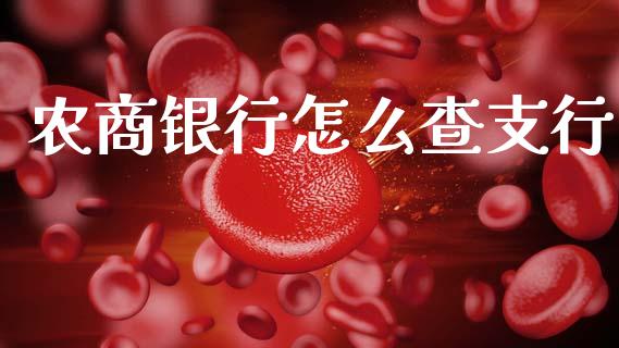农商银行怎么查支行_https://www.ltsssb.com_期货密码_第1张