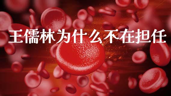 王儒林为什么不在担任_https://www.ltsssb.com_期货在线_第1张