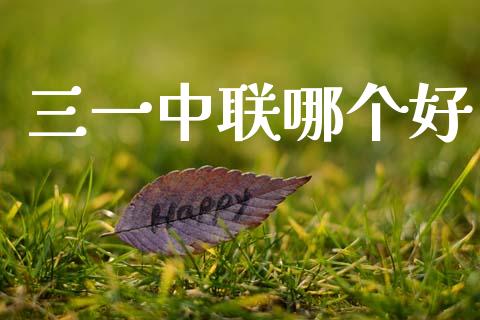 三一中联哪个好_https://www.ltsssb.com_国际财经_第1张