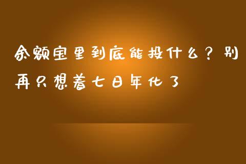 余额宝里到底能投什么？别再只想着七日年化了_https://www.ltsssb.com_国际财经_第1张