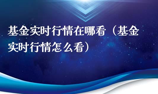 基金实时行情在哪看（基金实时行情怎么看）_https://www.ltsssb.com_基金频道_第1张