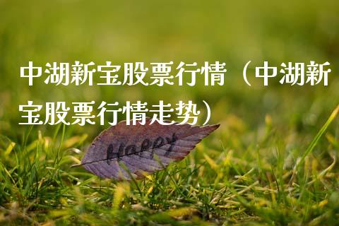 中湖新宝股票行情（中湖新宝股票行情走势）_https://www.ltsssb.com_新股数据_第1张