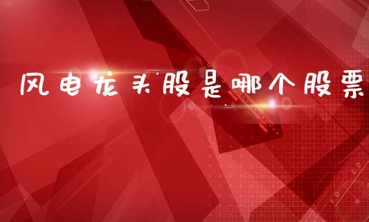 风电龙头股是哪个股票_https://www.ltsssb.com_新股数据_第1张