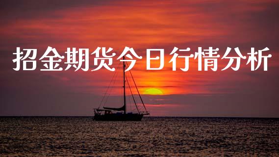 招金期货今日行情分析_https://www.ltsssb.com_期货密码_第1张
