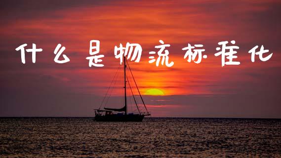 什么是物流标准化_基金频道_第1张_IT财经网 什么是物流标准化_https://www.ltsssb.com_基金频道_第1张