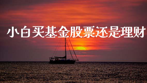小白买基金股票还是理财_https://www.ltsssb.com_基金频道_第1张