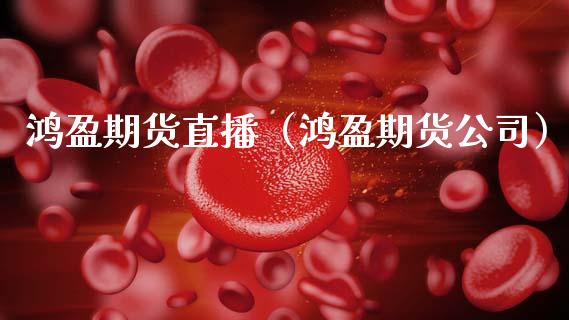 鸿盈期货直播（鸿盈期货公司）_https://www.ltsssb.com_期货在线_第1张