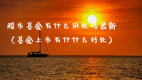 股市基金有什么用处吗最新（基金上市有什什么好处）_https://www.ltsssb.com_国际财经_第1张