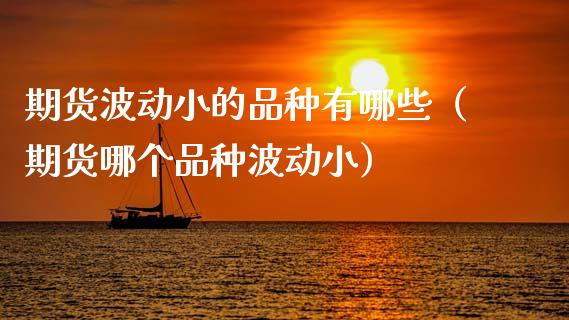 期货波动小的品种有哪些（期货哪个品种波动小）_https://www.ltsssb.com_期货行情_第1张