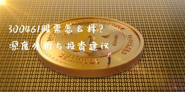 300461股票怎么样？深度分析与投资建议_https://www.ltsssb.com_股票理论_第1张