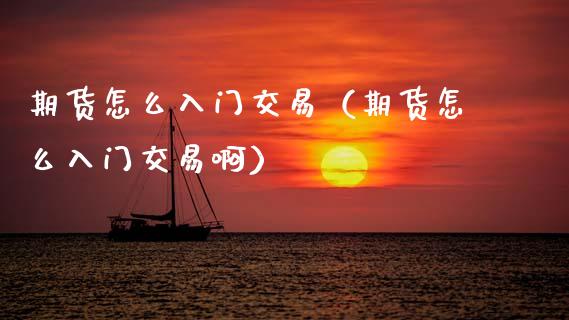期货怎么入门交易（期货怎么入门交易啊）_https://www.ltsssb.com_期货密码_第1张