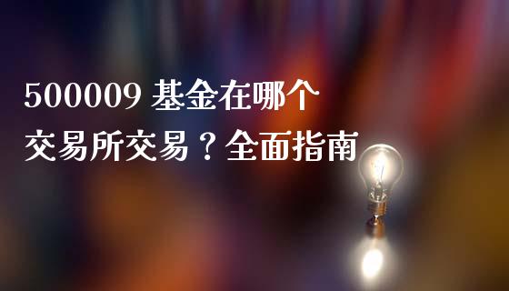500009 基金在哪个交易所交易？全面指南_https://www.ltsssb.com_基金频道_第1张